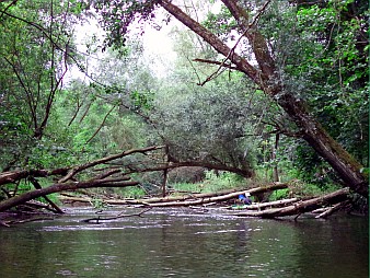 Piraci Parsęty - Białogard