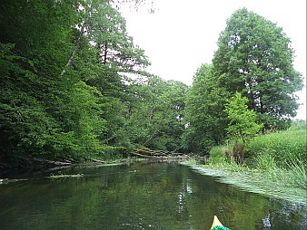 Piraci Parsęty - Białogard