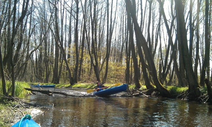 k23 perznica