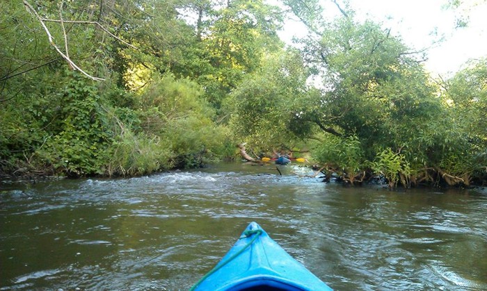 k35 parsęta