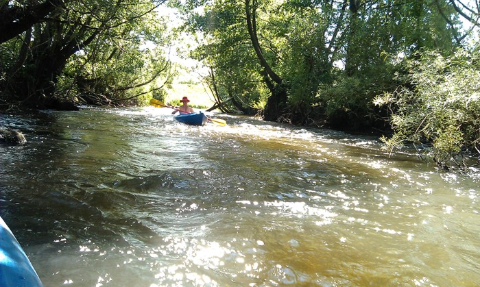 18. Kajaki. Rzeka Parsęta od Rogowa