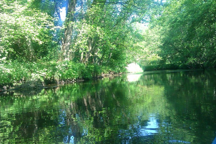29. Kajaki. Rzeka Radew